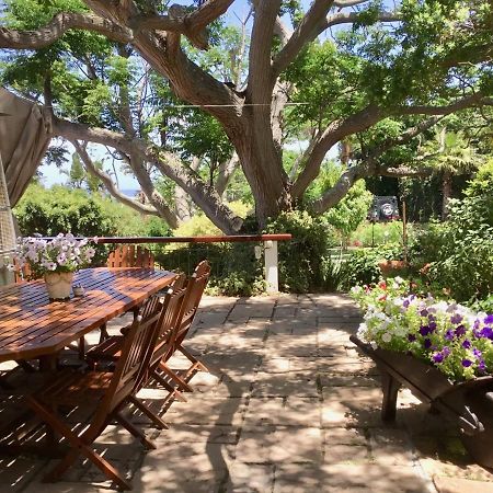 Oceangolf Guest House Noordhoek Extérieur photo