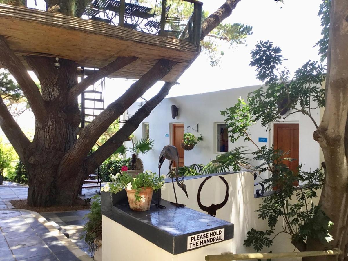 Oceangolf Guest House Noordhoek Extérieur photo