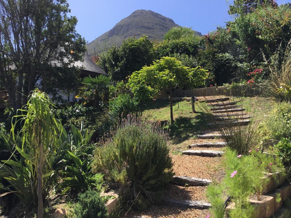 Oceangolf Guest House Noordhoek Extérieur photo