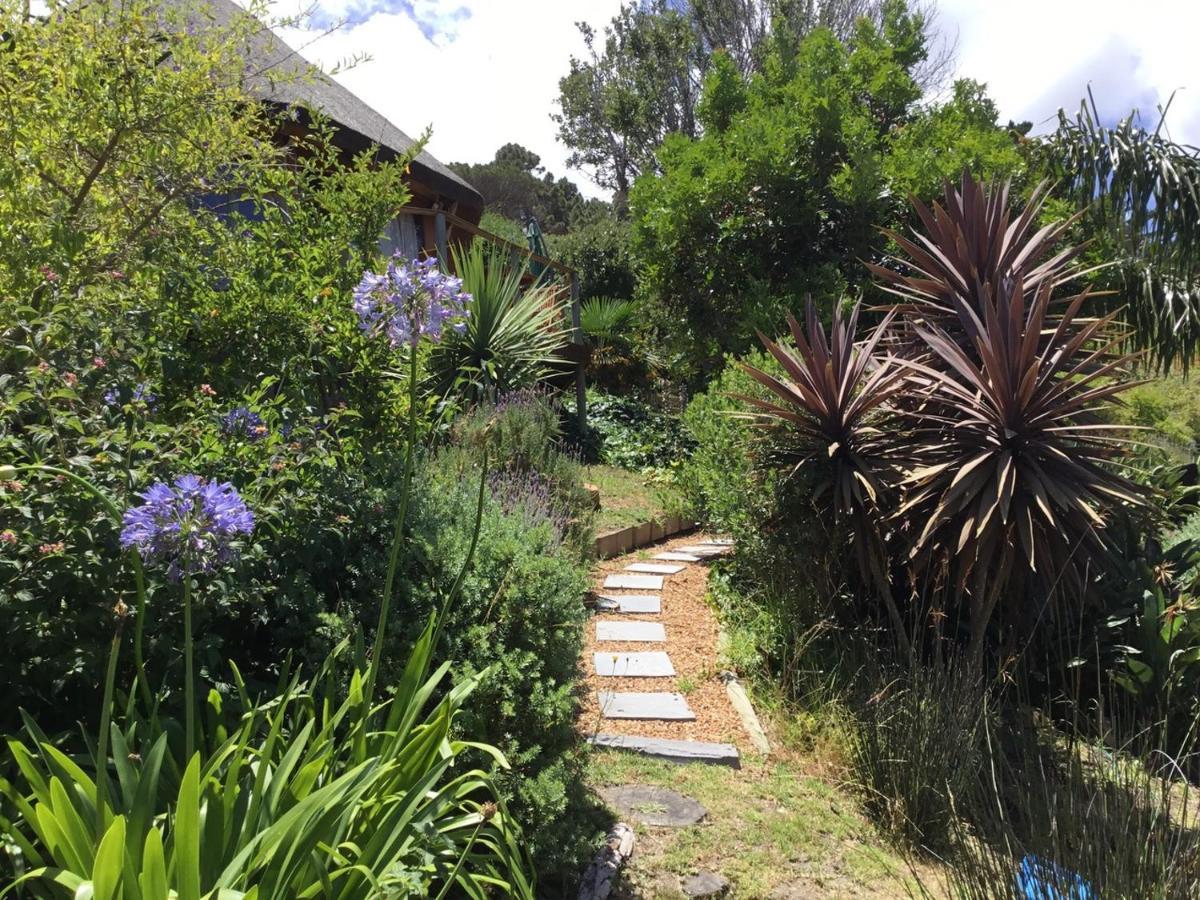 Oceangolf Guest House Noordhoek Extérieur photo