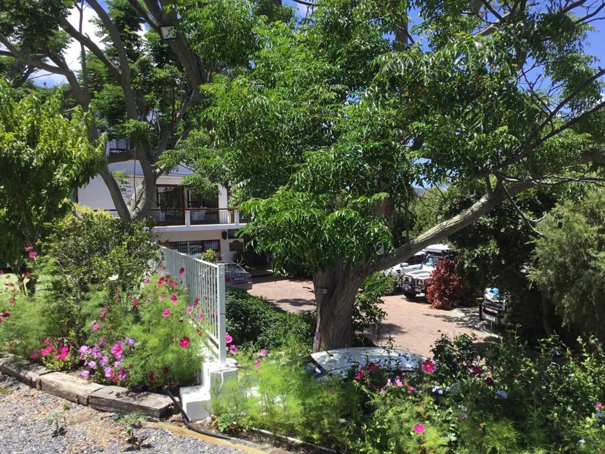 Oceangolf Guest House Noordhoek Extérieur photo