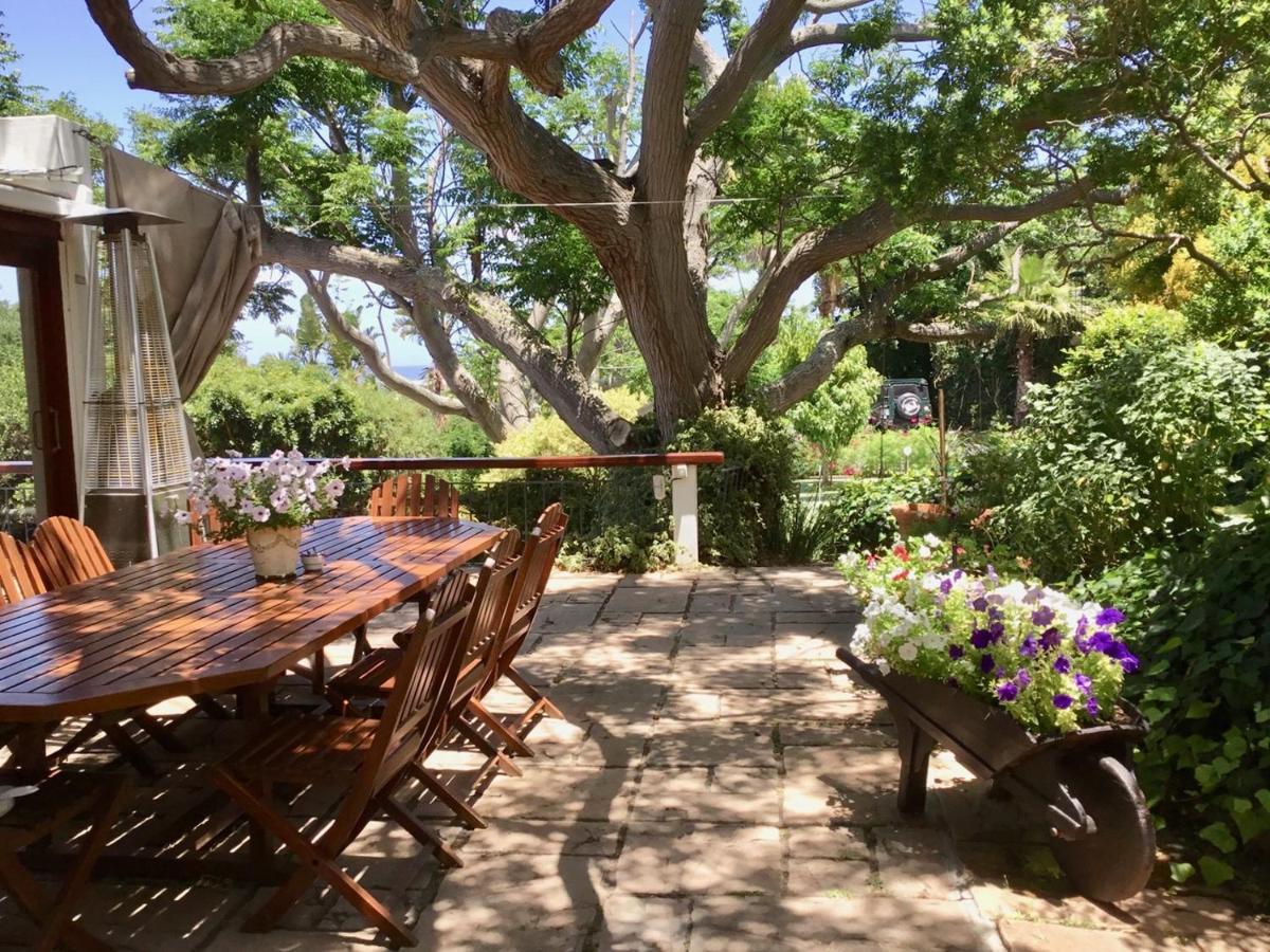 Oceangolf Guest House Noordhoek Extérieur photo