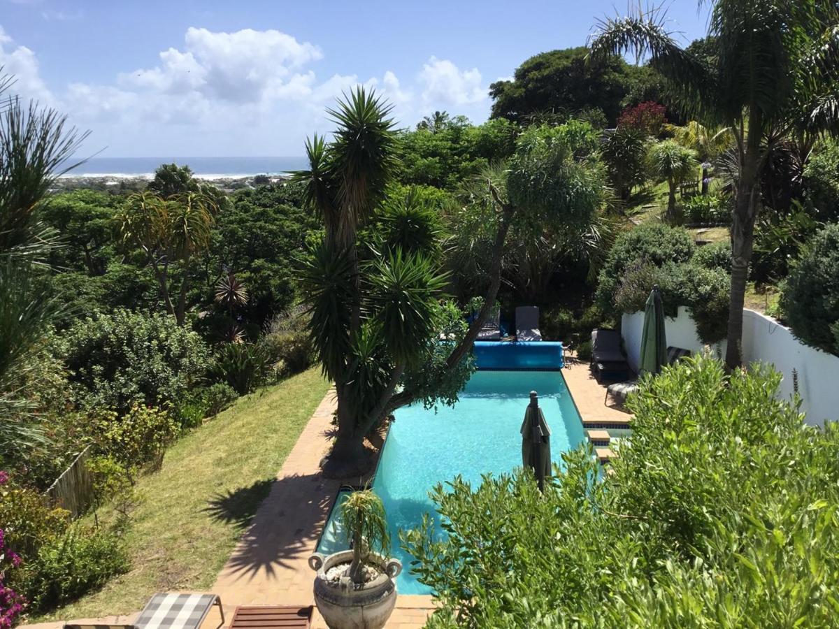 Oceangolf Guest House Noordhoek Extérieur photo