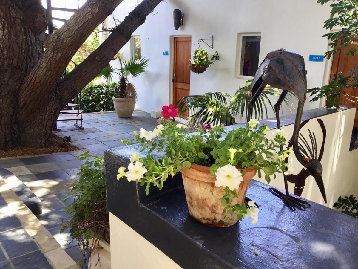 Oceangolf Guest House Noordhoek Extérieur photo