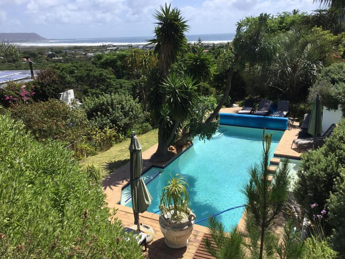 Oceangolf Guest House Noordhoek Extérieur photo