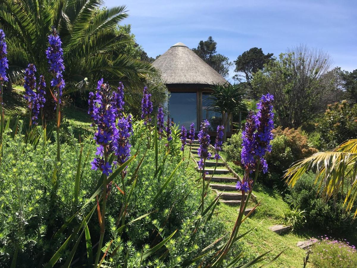 Oceangolf Guest House Noordhoek Extérieur photo