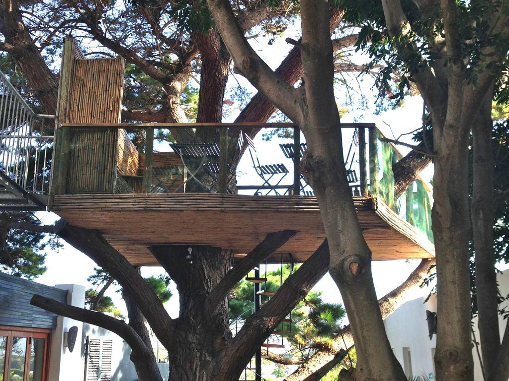 Oceangolf Guest House Noordhoek Extérieur photo