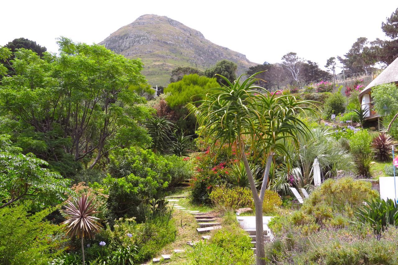 Oceangolf Guest House Noordhoek Extérieur photo